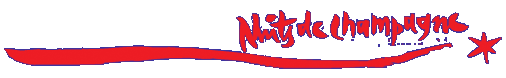 Logo Nuits